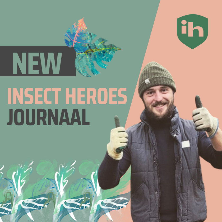 Heldendaden in beeld gebracht bij het Insect Heroes Journaal