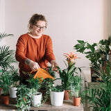Vita Kamerplanten