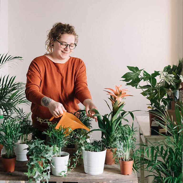 Vita Kamerplanten