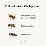Trek solitaire wilde bijen aan: Metselbijen, Behangersbijen of maskerbijen