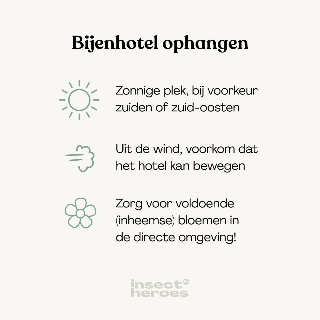 Bijenhotel ophangen: kies een zonnige plek uit, uit de wind en zorg voor voldoende inheemse bloemen in de omgeving