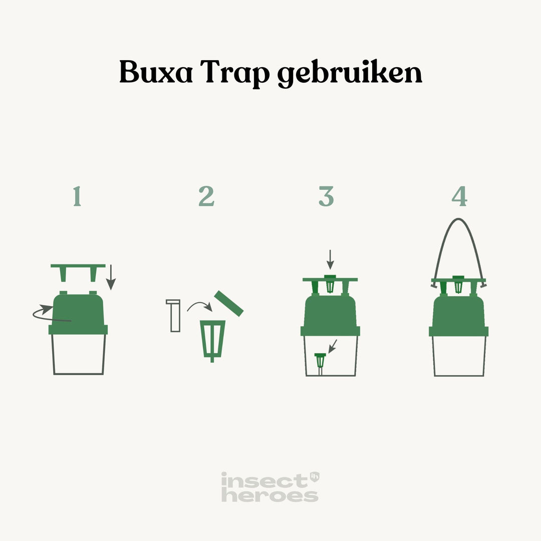 Buxa Trap gebruiken: 1. Draai het groene kopstuk op de doorzichtige bak en zet de groene plaat met de poten in de groeven op het kopstuk; 2. Doe de lokstof in de houders en druk de dop erop; 3. leg 1 houder in de bak en leg 1 in de plaat; 4. steek de touwtjes door de gaten aan de zijkant van de plaat en hang de buxatrap op.