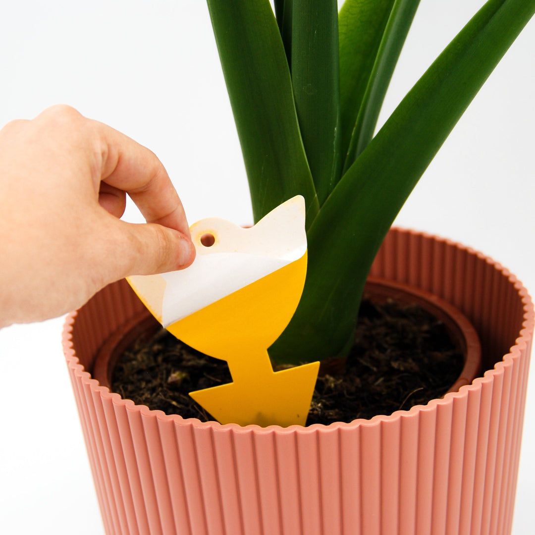 Sticky Leaf Geel Mini - tegen rouwvliegjes