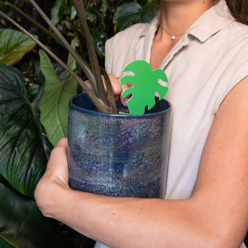 groene vangkaartje met rouwvliegjes erop in een bloempot 