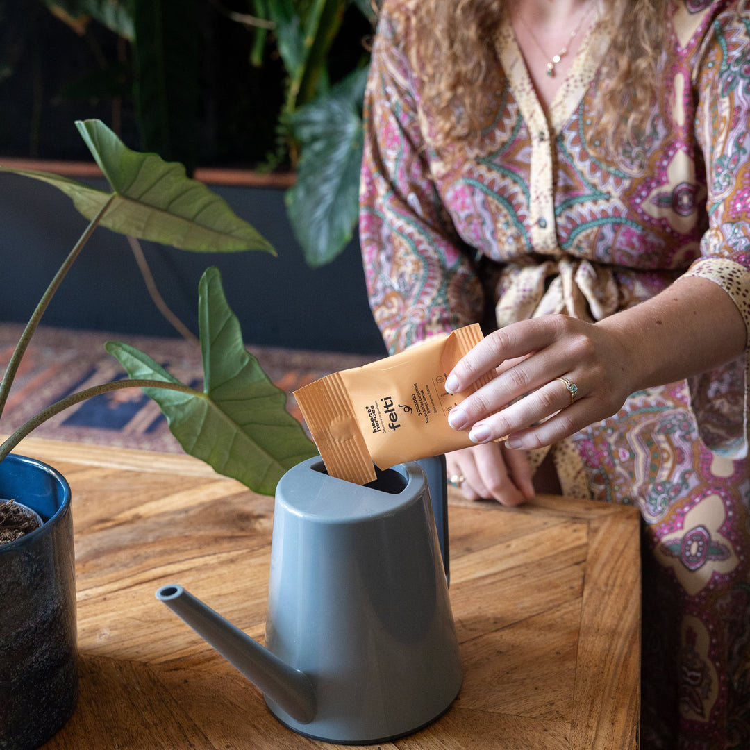 Zakje Felti wordt geleegd in een gieter voor binnenplanten