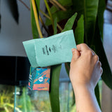 Zakje Carna wat wordt geleegd in een boxi uitzetdoosje aan een plant