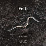 0.3 millimeter tot 1 millimeter Felti aaltje macro foto