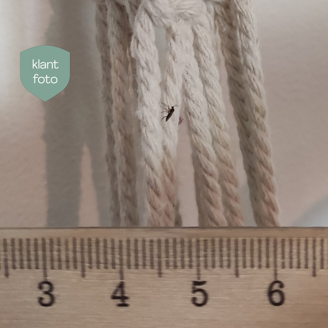 Image 33829098258720