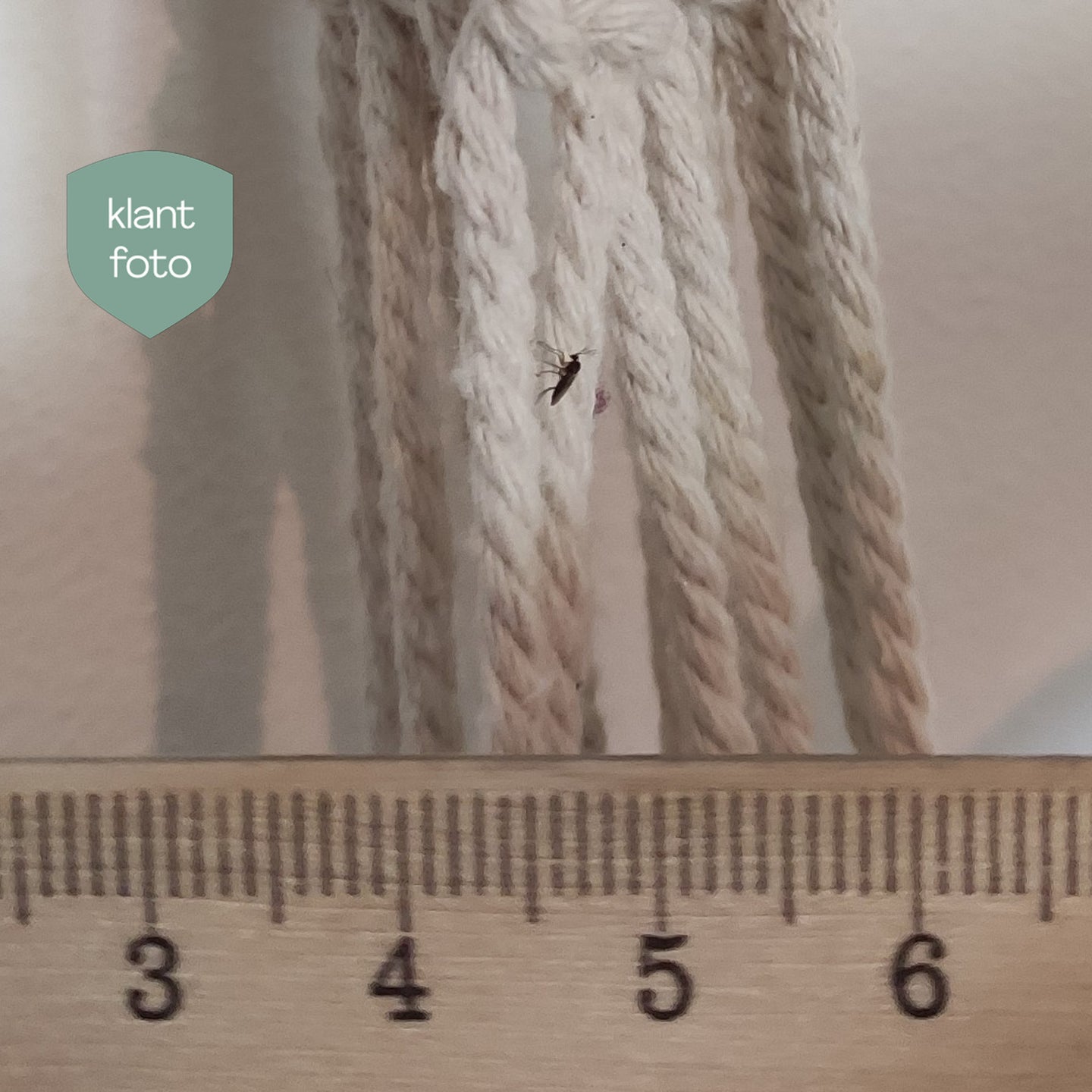 Image 33829098258720