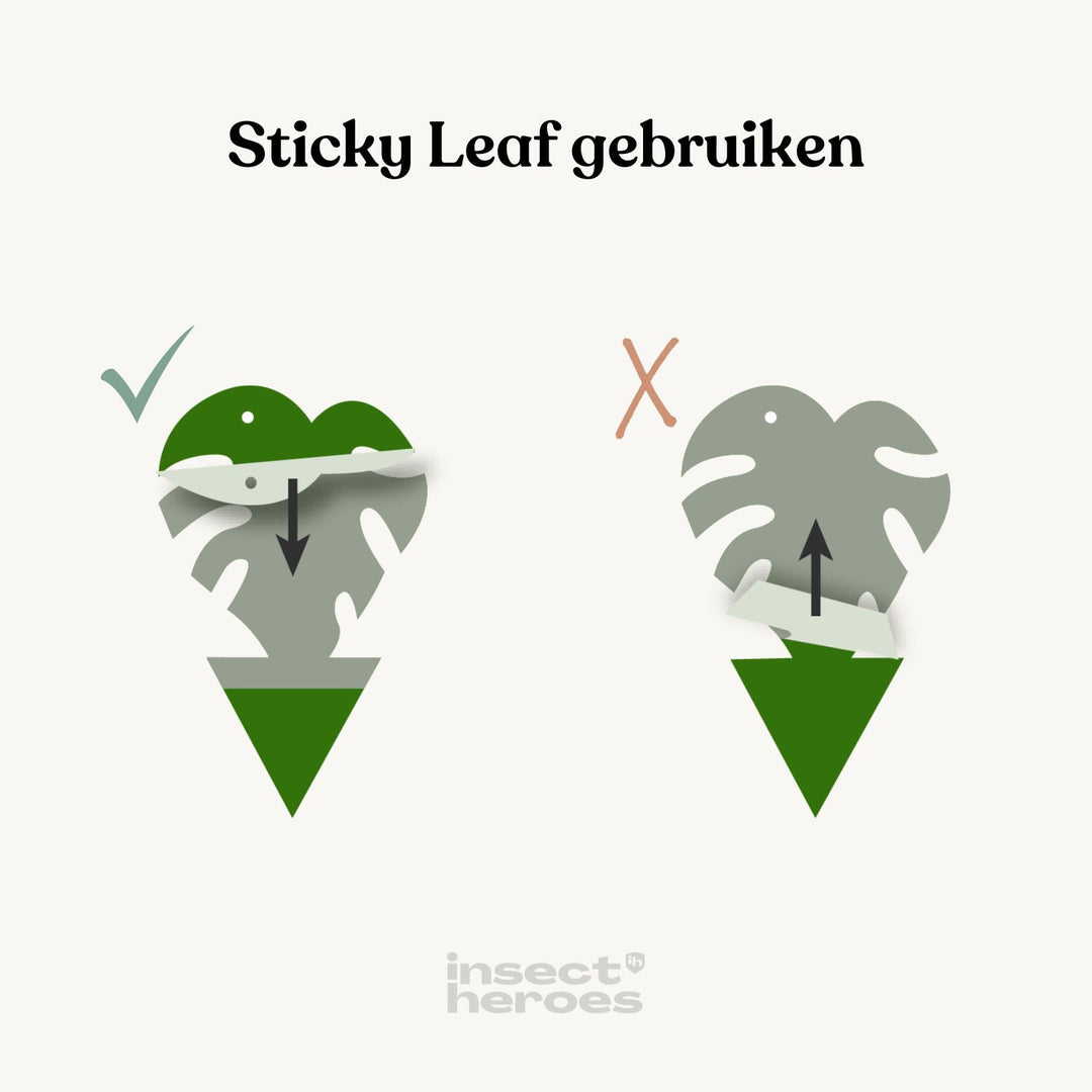 De papieren bedekking op een Sticky Leaf moet vanaf de onderkant eraf gehaald worden