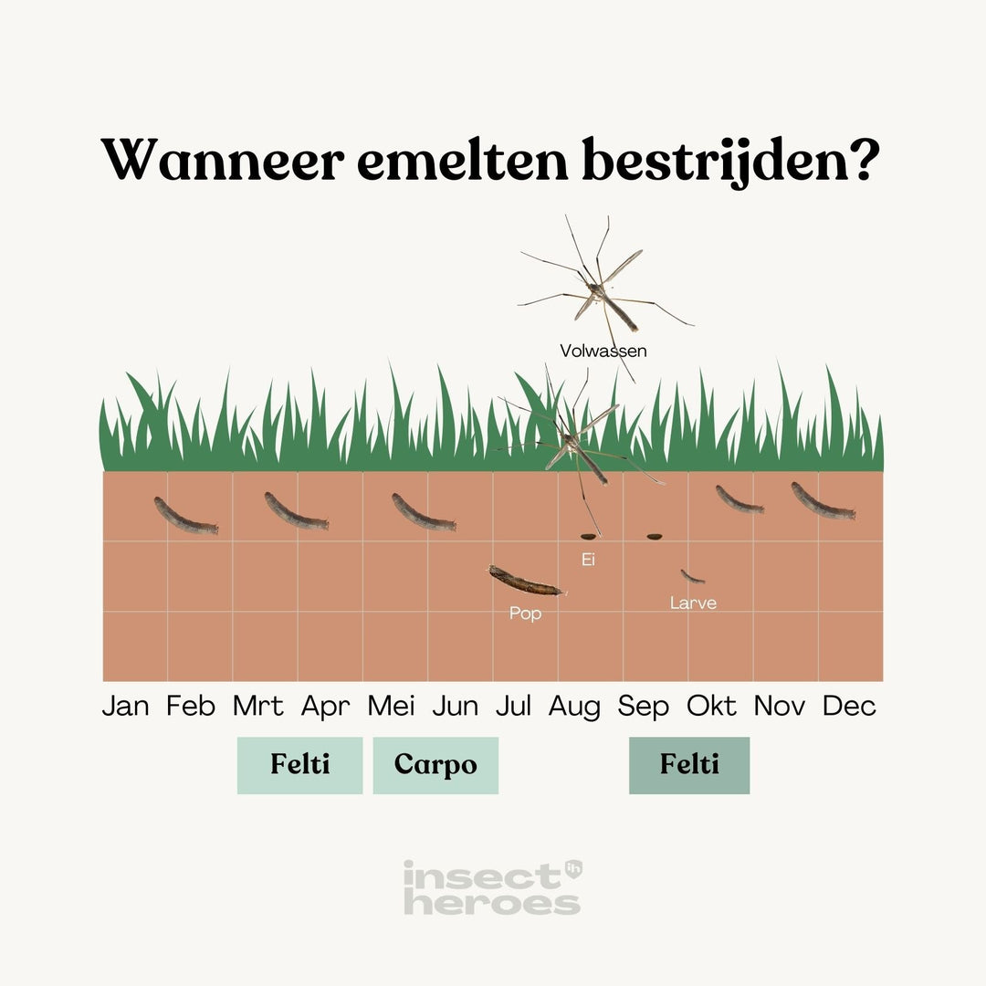 Carpo - tegen emelten
