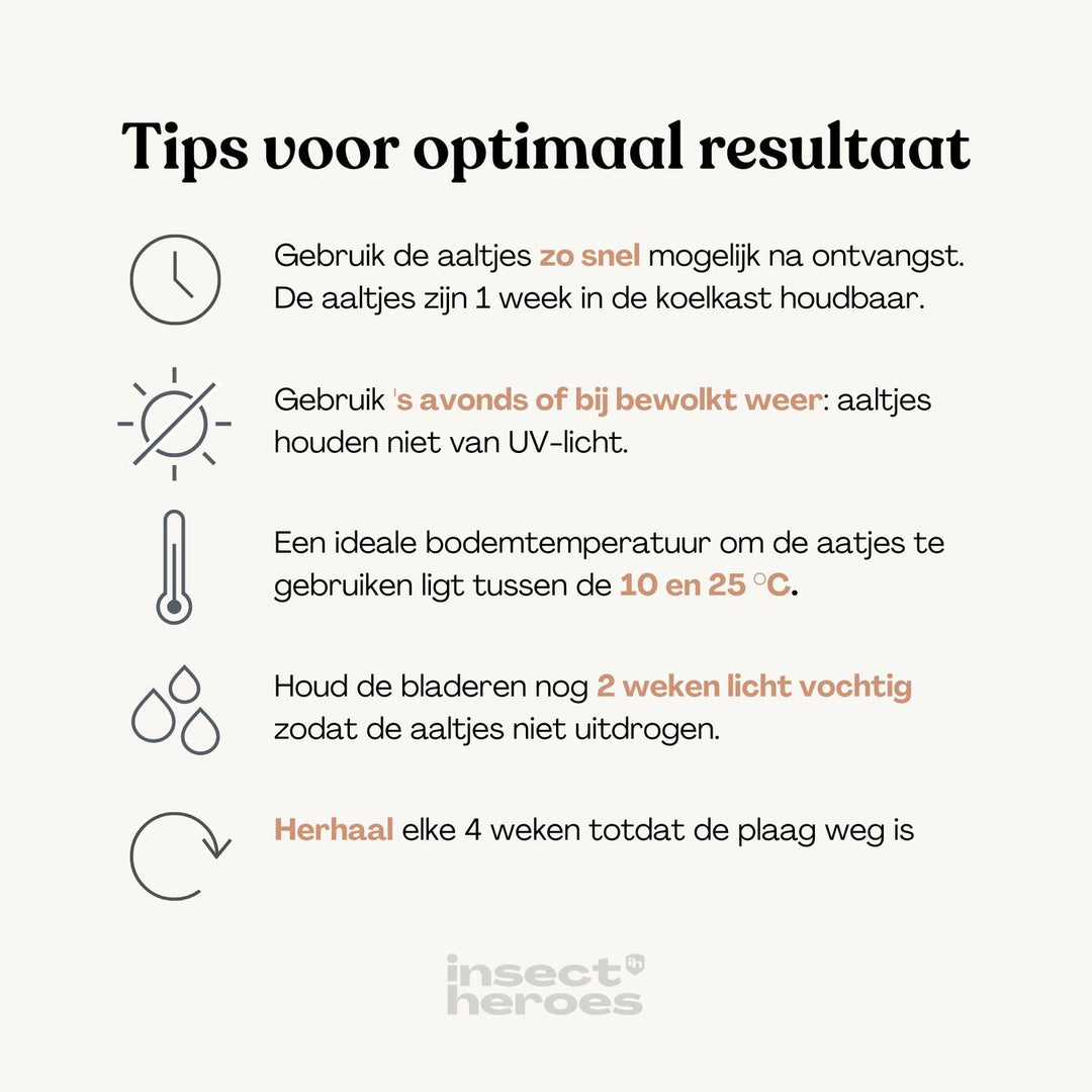 Tips voor het gebruiken van felti: 1. Gebruik zo snel mogelijk na ontvangst; 2. gebruik  's avonds of bij bewolkt weer; 3. een ideale bodemtemperatuur ligt tussen 10 en 25 graden celsius; 4. Houdt na gebruik de bladeren nog 2 weken vochtig; 5. herhaal elke 4 weken totdat de plaag weg is.
