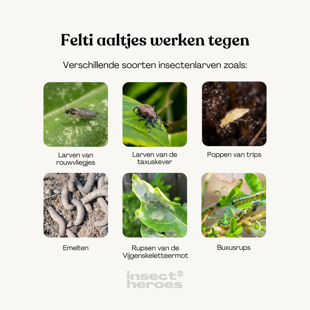 Felti - tegen emelten
